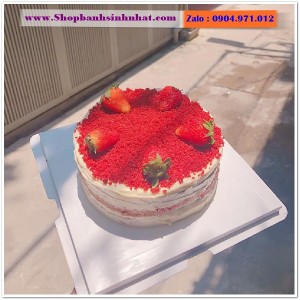 Bánh Sinh Nhật Tiramisu - T150